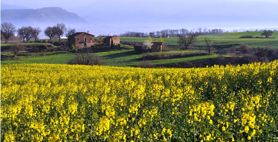 ARCA, unió dels móns rurals i marítim  de Catalunya 