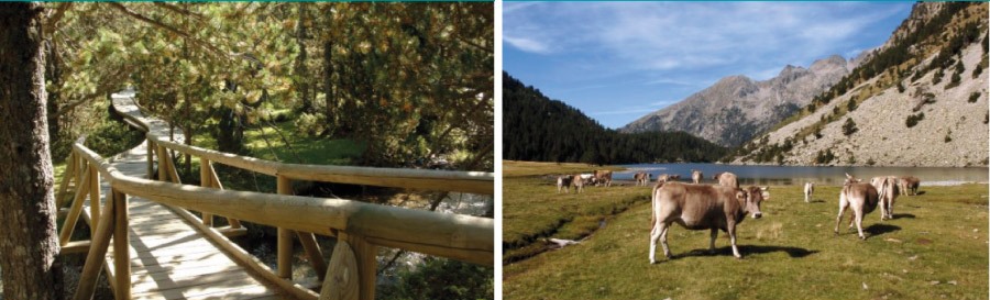 Parc Nacional d'AiguesTortes i Estany de Sant Maurici a Catalunya