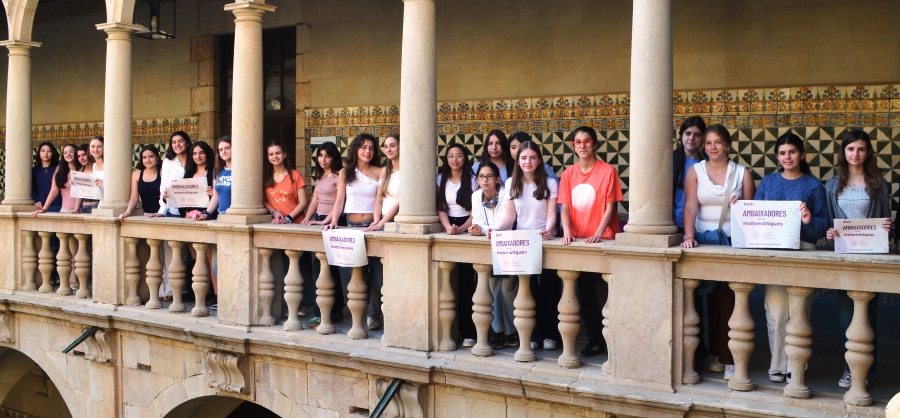 Ambaixadores de les Matematiques