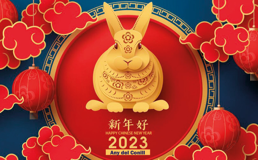 L'Any Nou Xinès