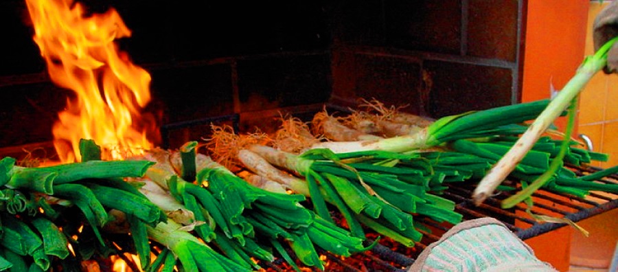 Calçots al Baix Gaia són les Jornades Gastronòmiques