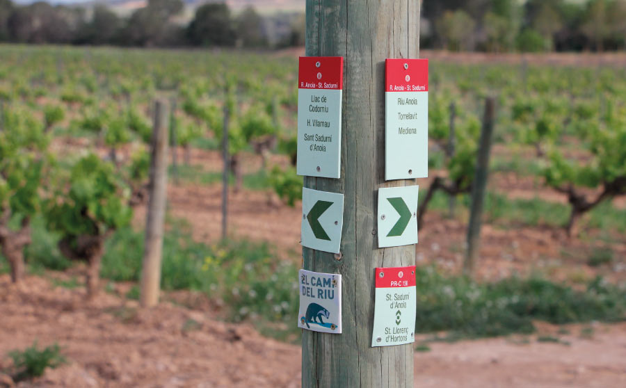 Camins per la capital del cava 