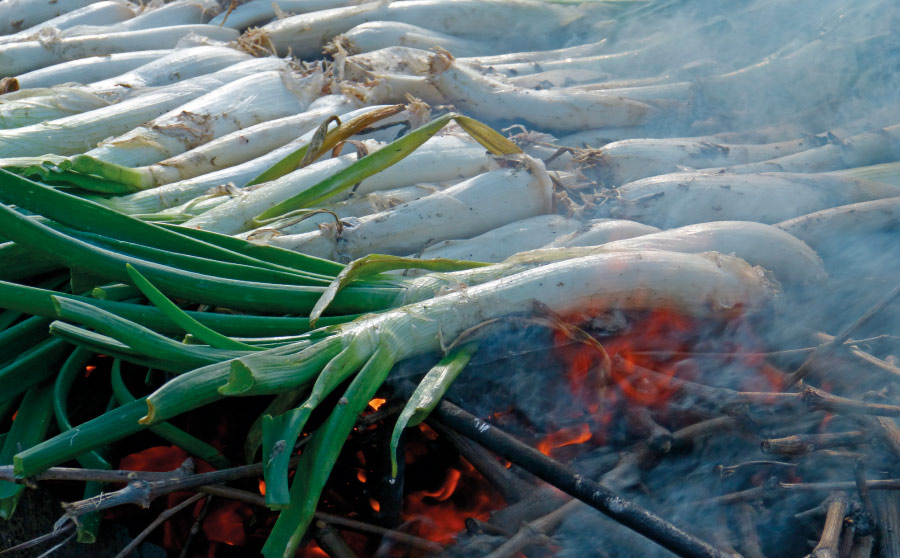 Calcots, gastronomia del Camp de Tarragona