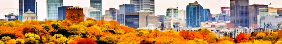 Canada, Reptes i Oportunitats per empreses