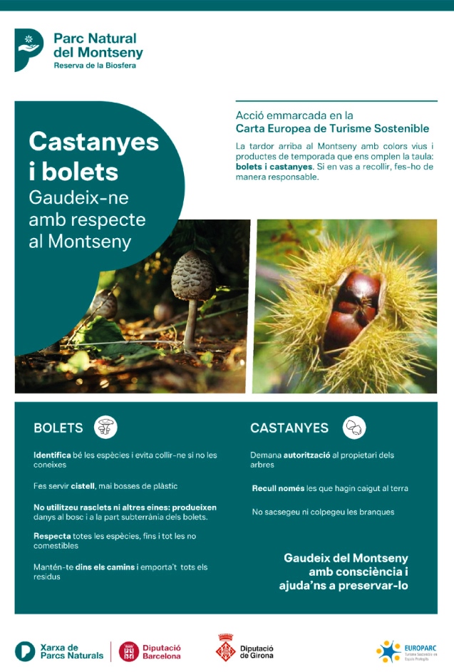 Castanyes i bolets al Montseny