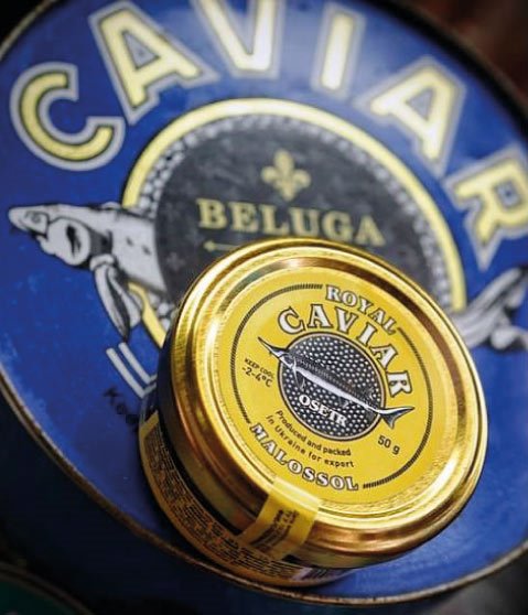Caviar de esturion beluga
