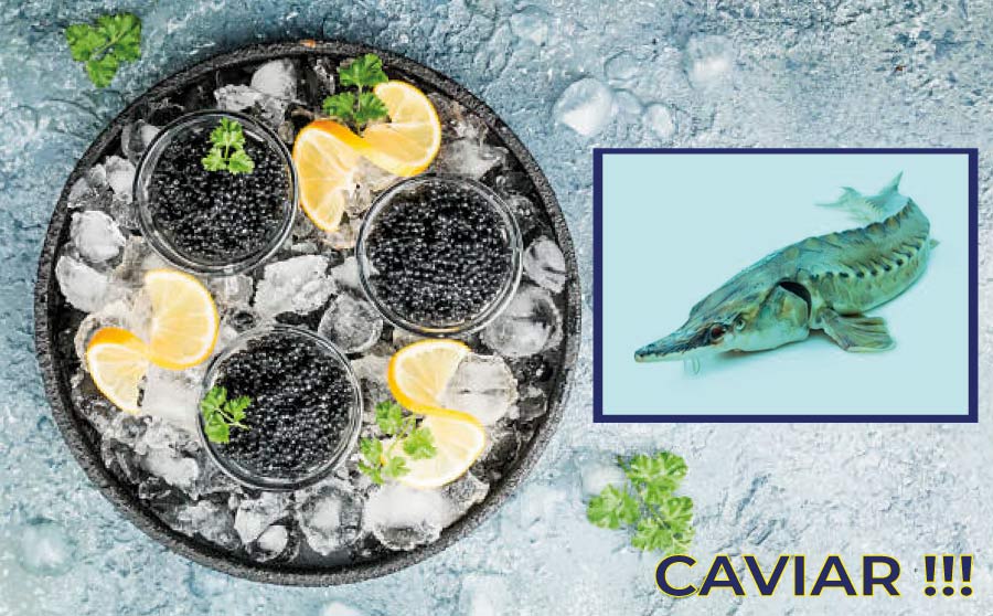 El Caviar, perla de la gastronomía