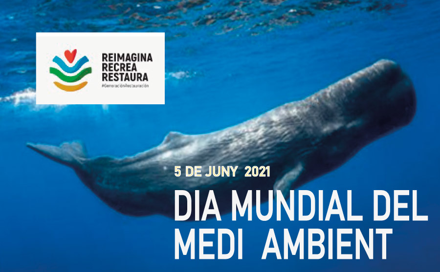 5 de juny: Dia Mundial del Medi Ambient