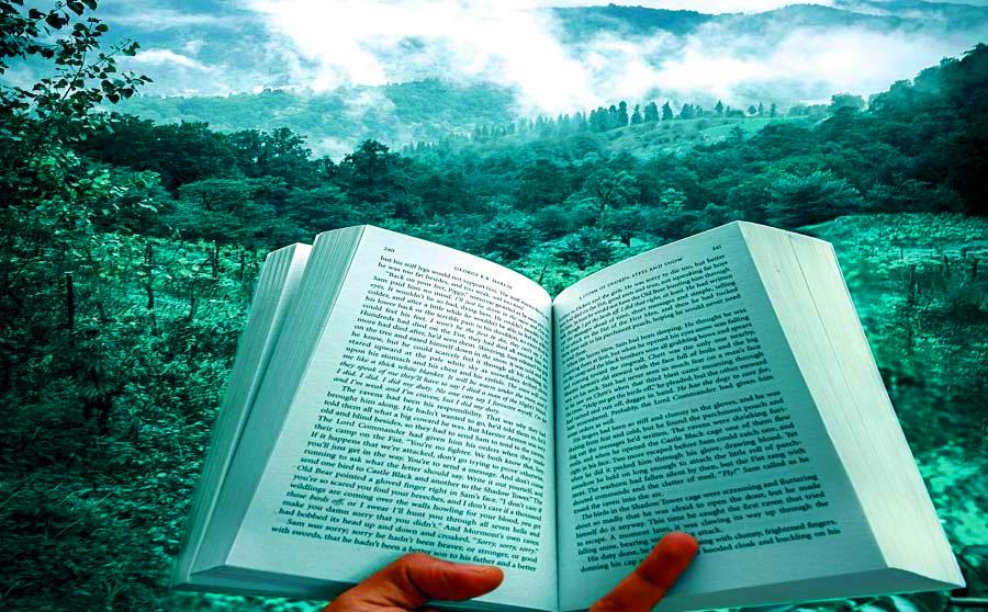 El sector del llibre i la sostenibilitat