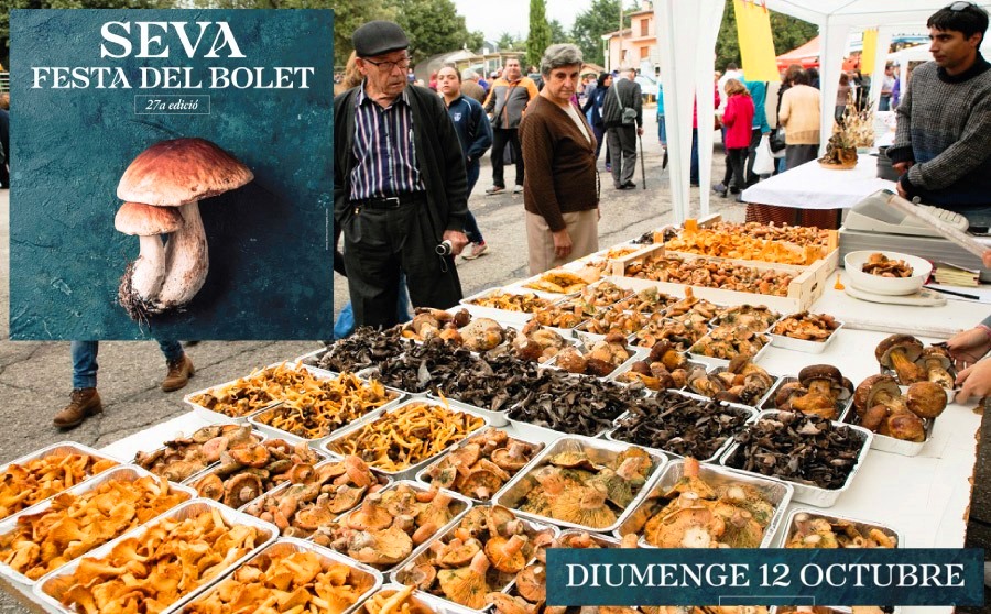 Fiesta de la Seta de Seva 2025