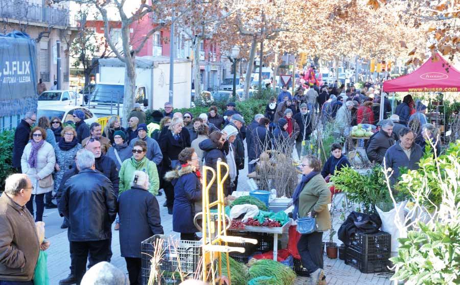 Fira de Reis Igualada