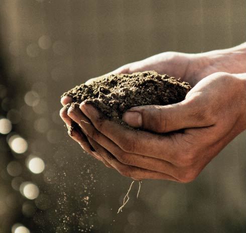 La tierra, sustratos para huertos urbanos