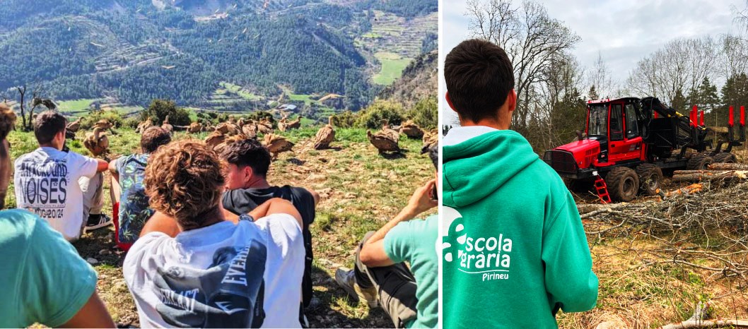 Intercanvi forestal entre joves de Catalunya i Noruega