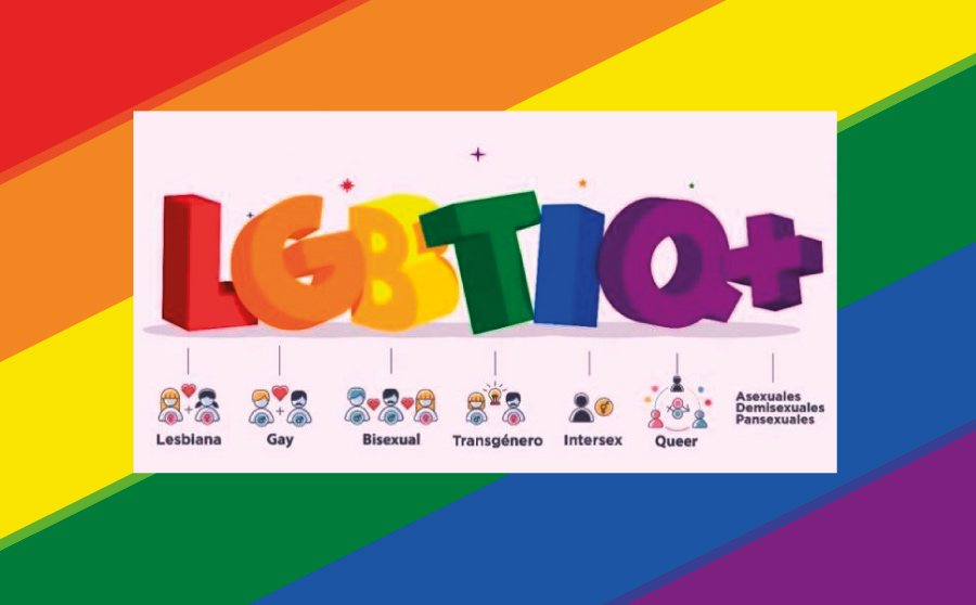 LGBTIQ+ La nueva sección en Capital2020