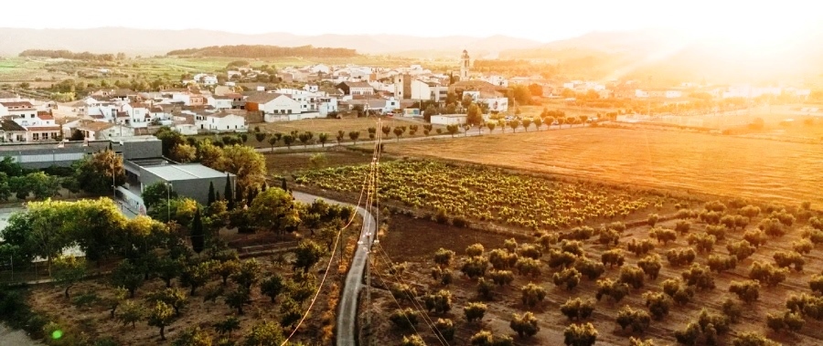 La Bisbal Penedes j i la Jornada de l'oli d'oliva
