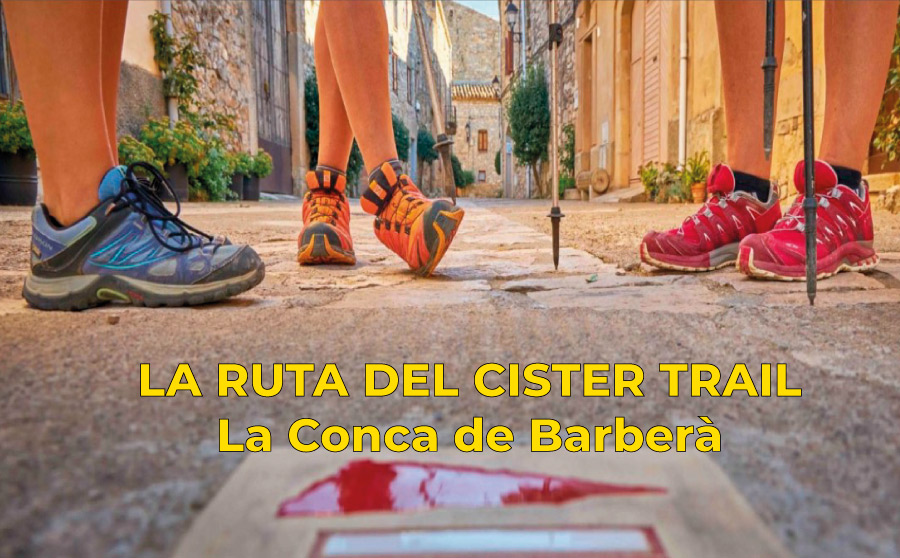 Disfrutar de la naturaleza: La Ruta del Cister Trail