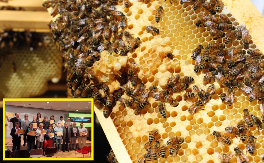 El Día de la Abeja y las mejores mieles de Cataluña