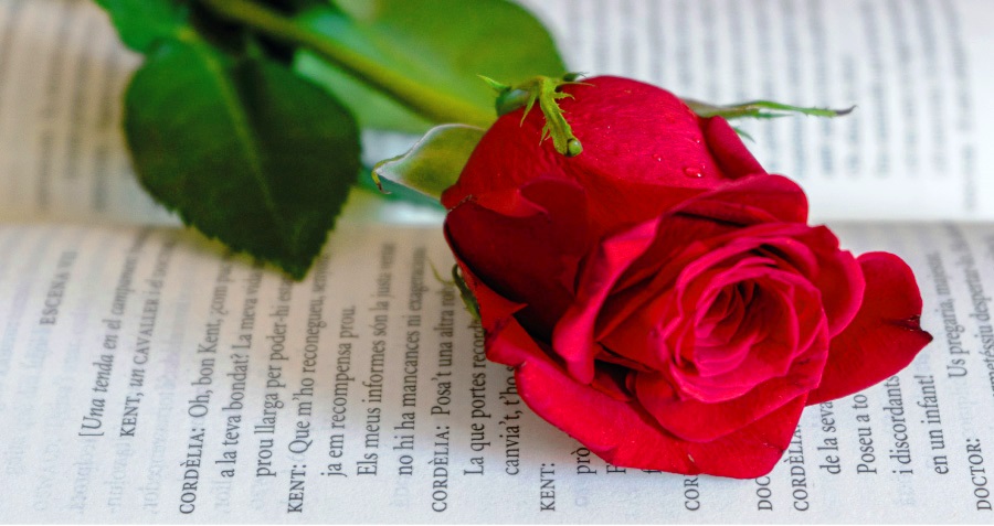 Sant Jordi al Vendrell: Llibres, Roses i Activitats Culturals