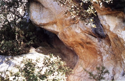 Ruta Mas d'en Llort - Art Rupestre de Catalunya