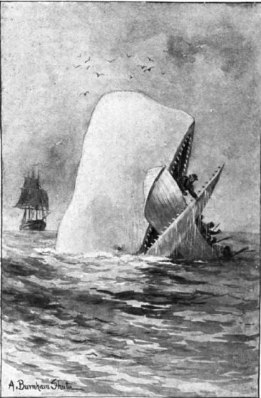 El llibre de Moby Dick