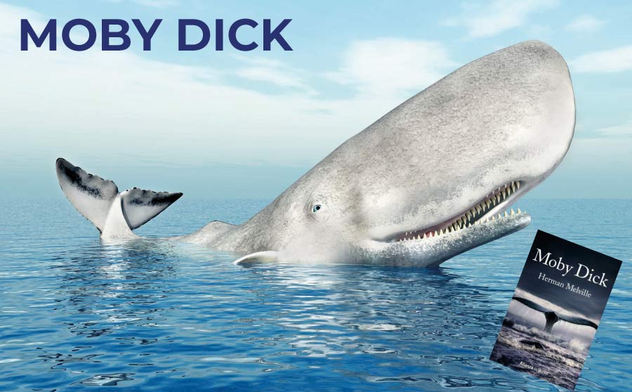 Moby Dick, entre la realitat i la novel·la