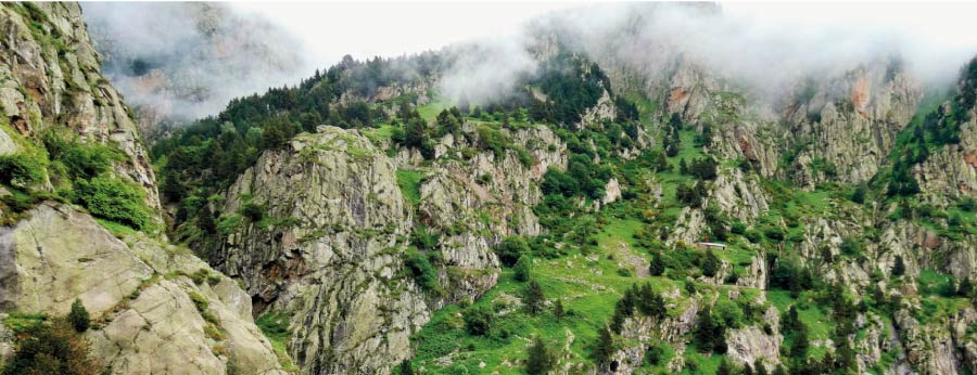 Parc Natural Capçalera del Ter i Freser per gaudir dels Pirineus catalans 