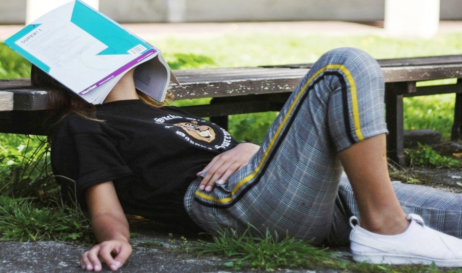 No mes estudiants perduts pel cami