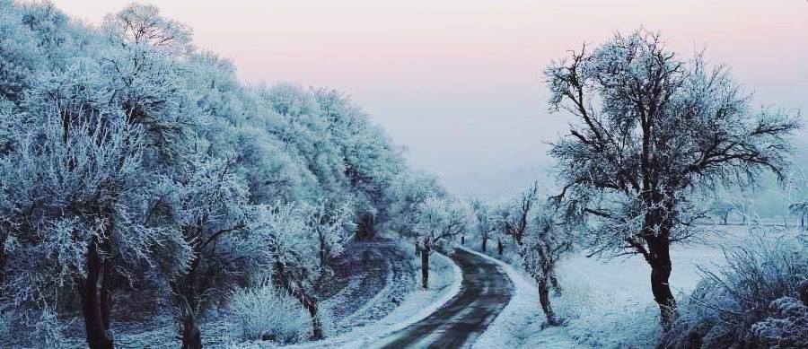 Novembre sen va amb la tardor