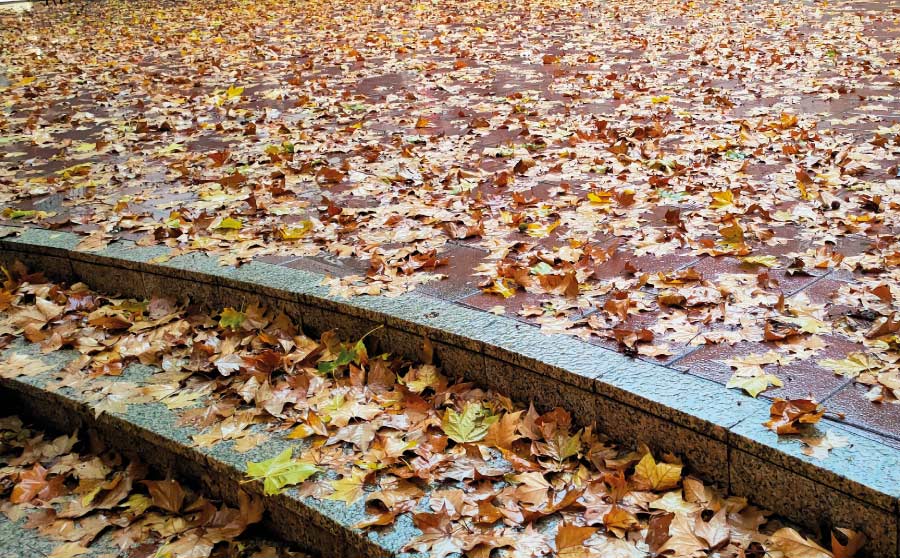 Cambio de tiempo, frío, lluvias y nieve: Noviembre se va