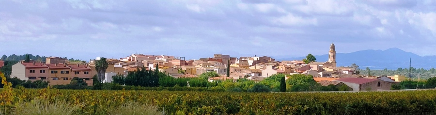 Panorámica de Nulles, vi, cava, oli 