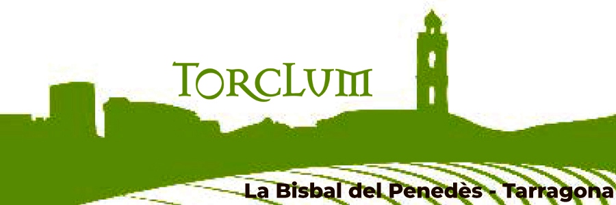 Oli Verd verge extra de Torclum TOP20 OOVE del món