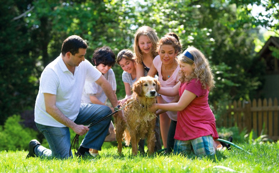 Padres y Madres de Familia