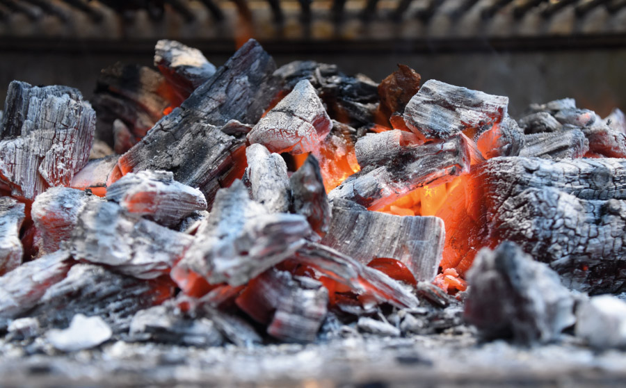 Temps de graella o barbacoa - las brasas