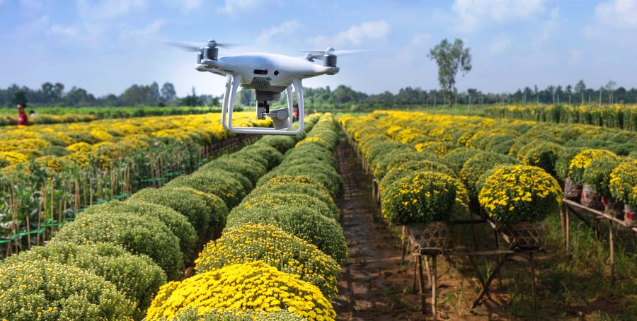 Treballs amb mes demanda l'any 2025 - Agricultura tècnica