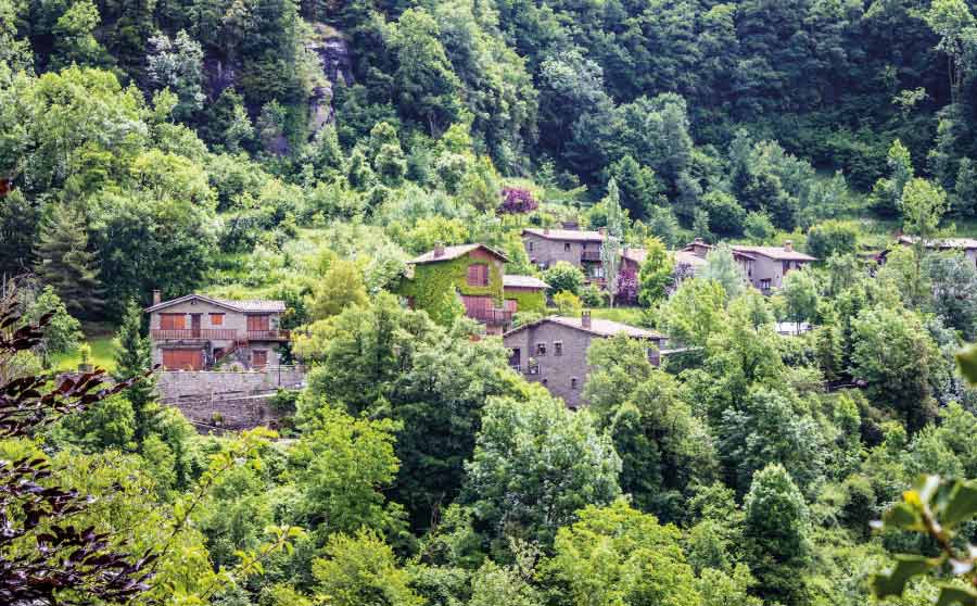 Tria el teu estiu: natura, educació i lleure