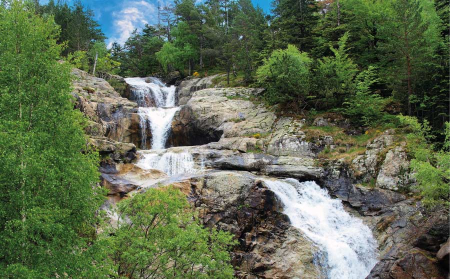 Estiu: natura, educació, lleure 