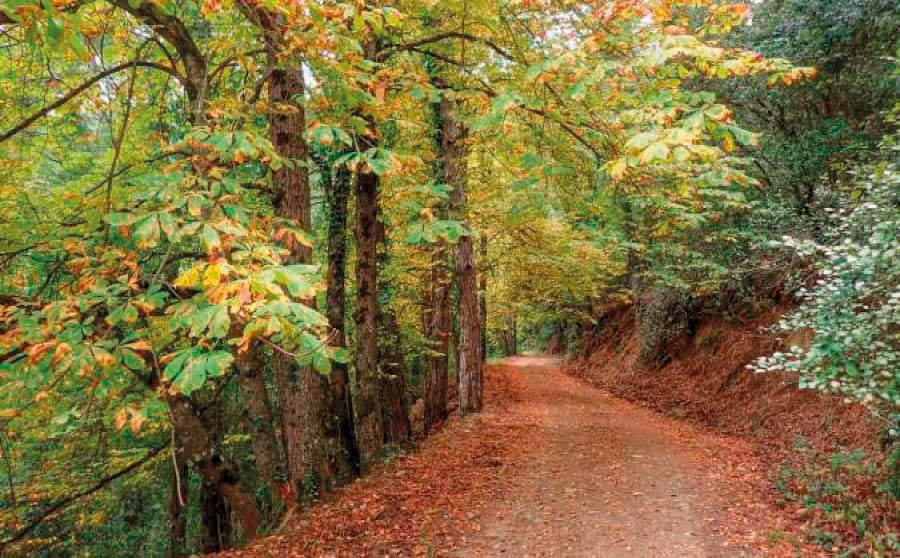 Vimbodi Poblet Monastir natura