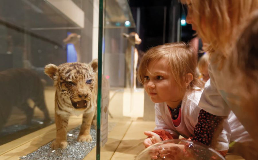 Museos de Ciencias Naturales de Cataluña