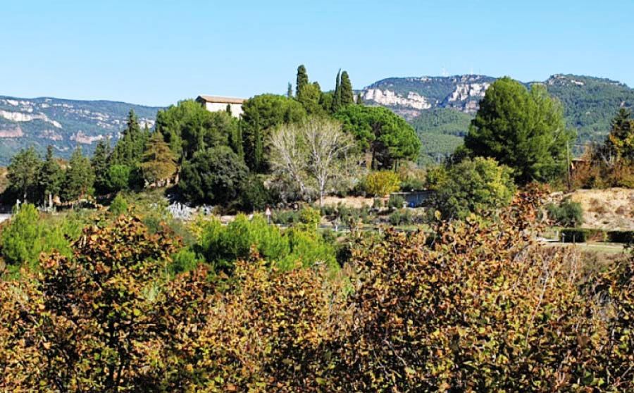 Paisatges dels avellaners de Reus 