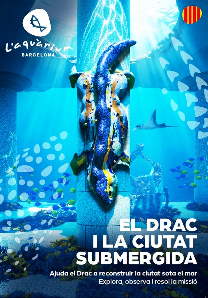Drac de Gaudi submergeix a l'Aquàrium de Barcelona