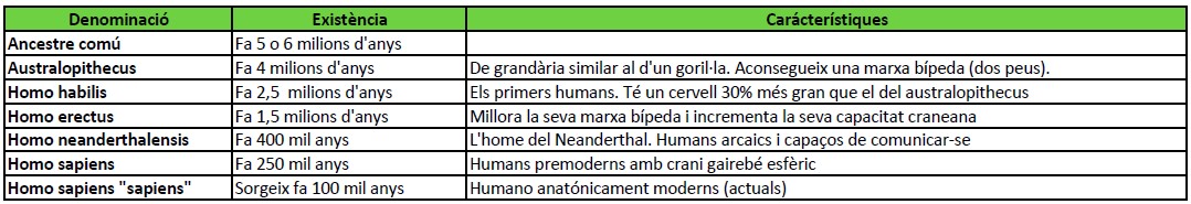 l'evolució del home i la seva clasificació base