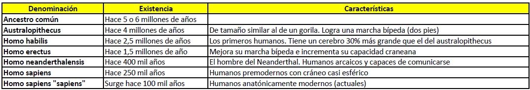 La evolución del hombre y su clasificación