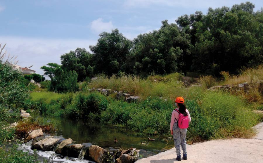 Vamos de excursión i hagamos un herbario