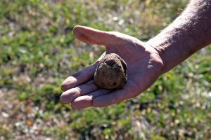 El arte de cultivar la tierra en el Alt Urgell