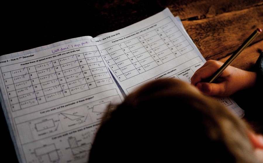Las matemáticas en crisis y el desafío educativo