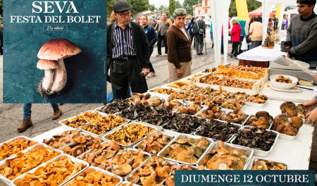 Festa del Bolet de Seva 2025