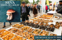 Festa del Bolet de Seva 2025