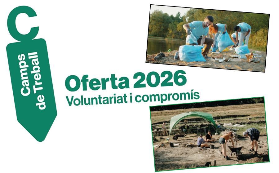 Campos de trabajo 2026 para jóvenes entre 14 y 29 años