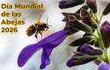 Día Mundial de las Abejas