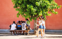 Adaptar las escuelas al calor